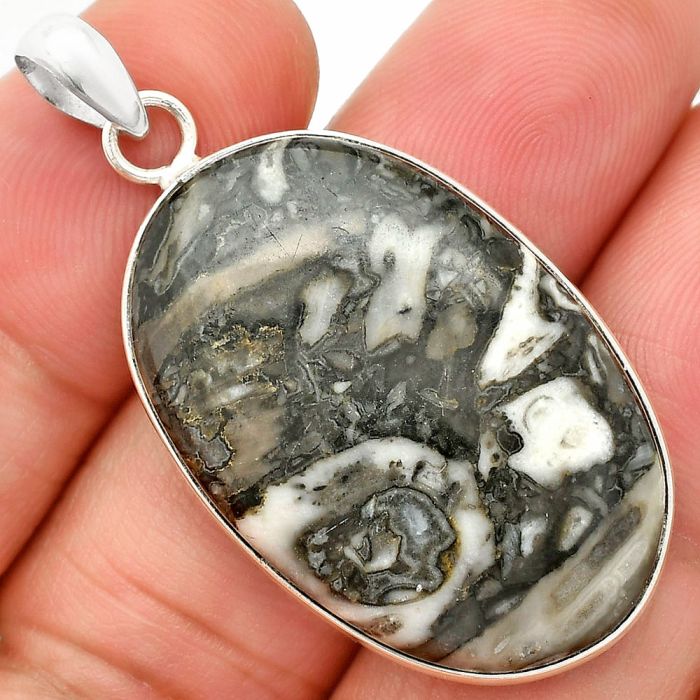 Mexican Cabbing Fossil Pendant SDP150452 P-1001, 22x33 mm