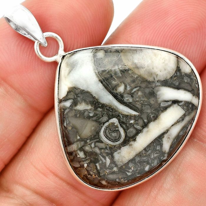 Mexican Cabbing Fossil Pendant SDP150480 P-1001, 25x27 mm