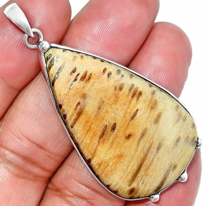 Palm Root Fossil Agate Pendant SDP151677 P-1349, 26x44 mm