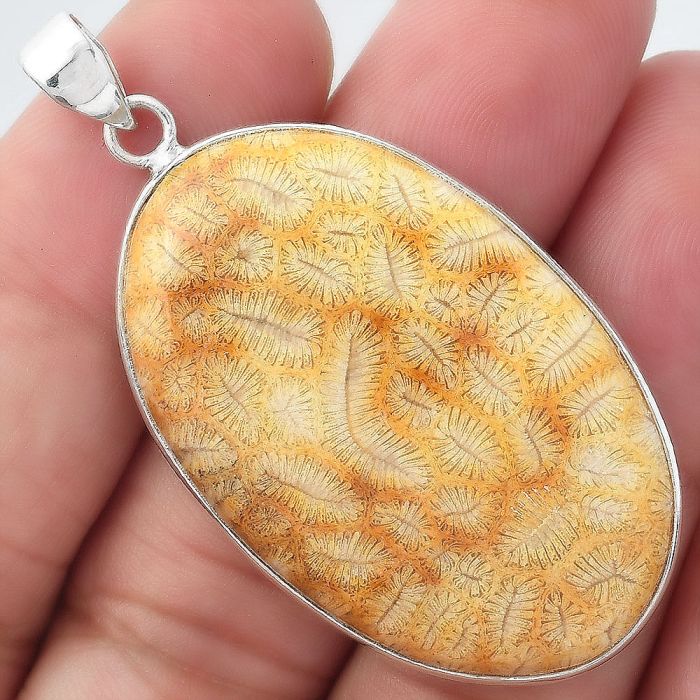 Natural Ant Fossil Coral Pendant SDP97903 P-1001, 25x40 mm