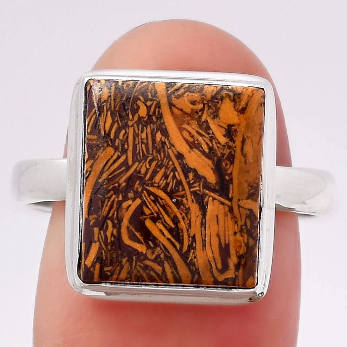 Coquina Fossil Jasper - India Ring size-9.5 SDR117616 R-1007, 11x13 mm