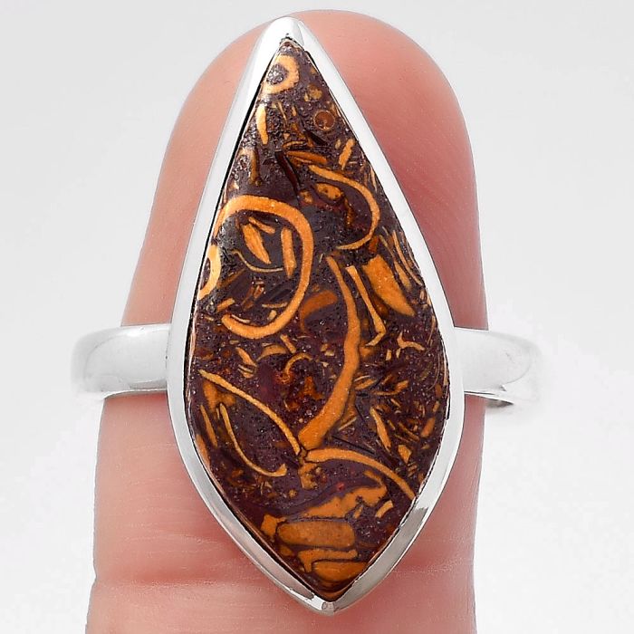 Coquina Fossil Jasper - India Ring size-8.5 SDR117770 R-1004, 12x25 mm