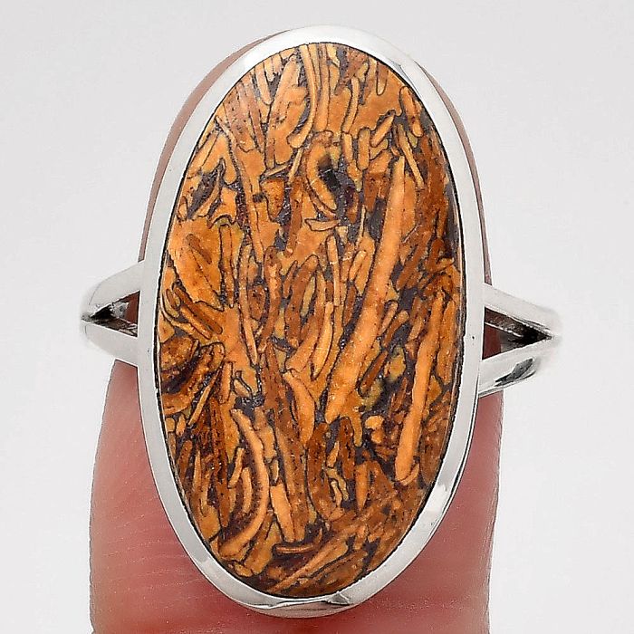 Natural Coquina Fossil Jasper - India Ring size-8 SDR139994 R-1005, 13x23 mm