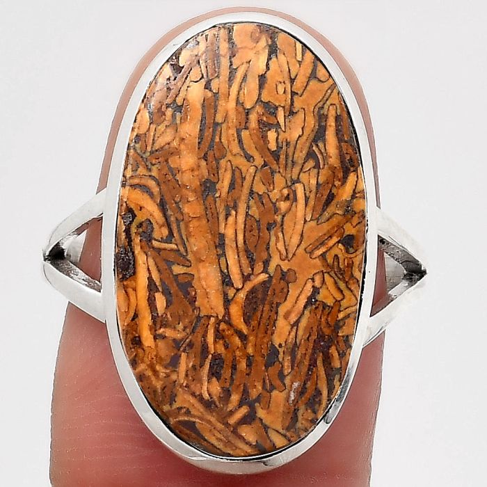 Natural Coquina Fossil Jasper - India Ring size-8 SDR140132 R-1005, 13x23 mm