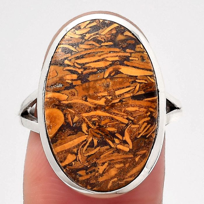 Coquina Fossil Jasper - India Ring size-7.5 SDR140178 R-1005, 14x21 mm