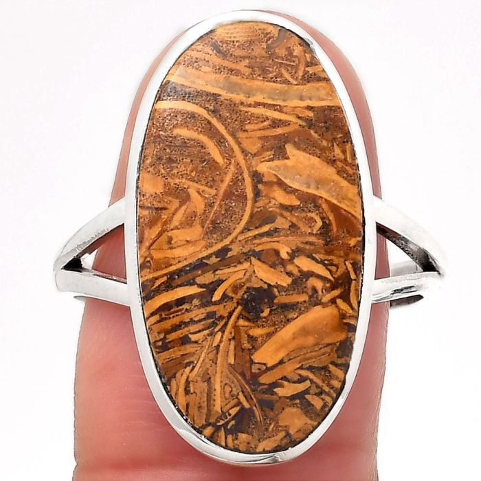 Coquina Fossil Jasper - India Ring size-9.5 SDR140219 R-1005, 12x24 mm