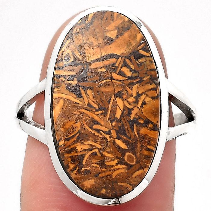 Natural Coquina Fossil Jasper - India Ring size-8 SDR140269 R-1005, 12x21 mm