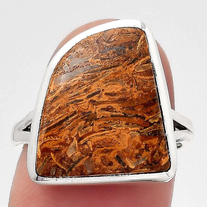 Natural Coquina Fossil Jasper - India Ring size-7 SDR140326 R-1005, 14x16 mm