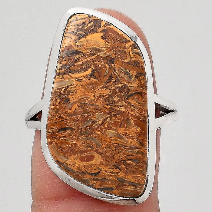 Natural Coquina Fossil Jasper - India Ring size-8 SDR140542 R-1005, 13x26 mm