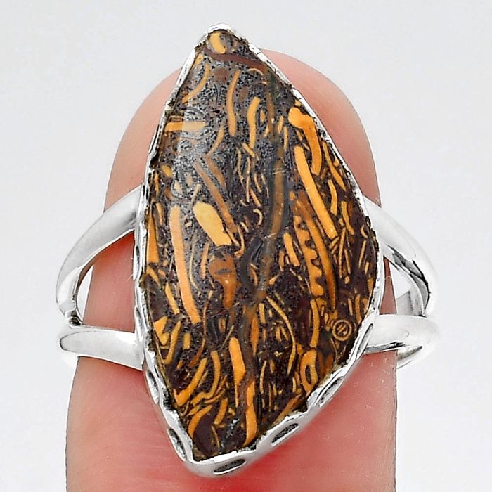 Coquina Fossil Jasper - India Ring size-7.5 SDR145261 R-1428, 12x22 mm