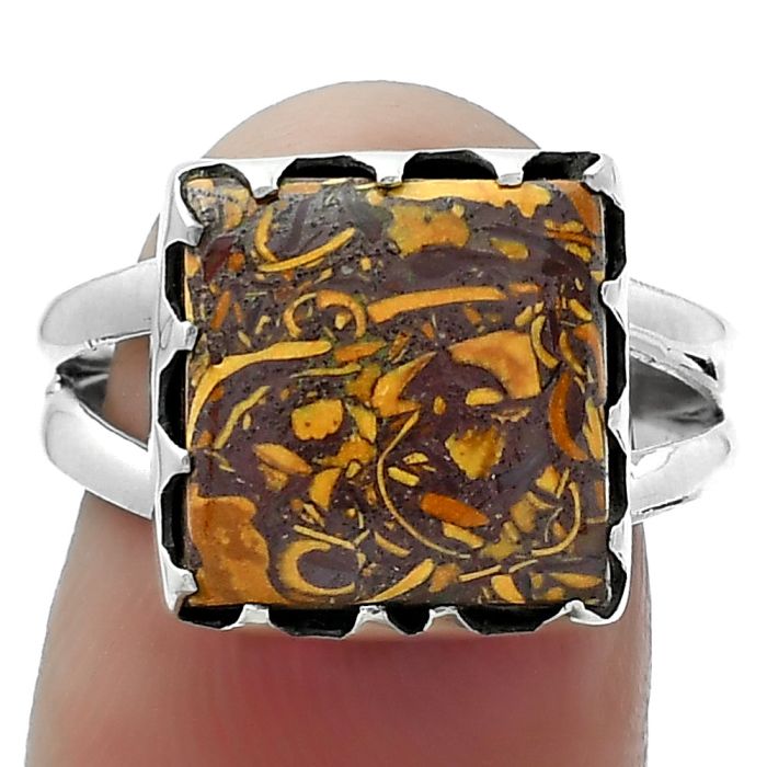 Coquina Fossil Jasper - India Ring size-7.5 SDR156033 R-1210, 12x12 mm