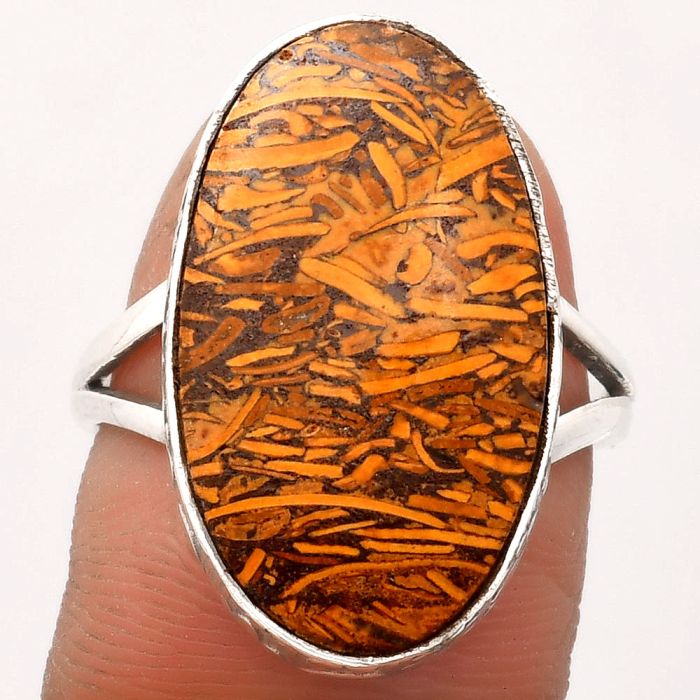 Natural Coquina Fossil Jasper - India Ring size-9 SDR162554 R-1191, 13x23 mm