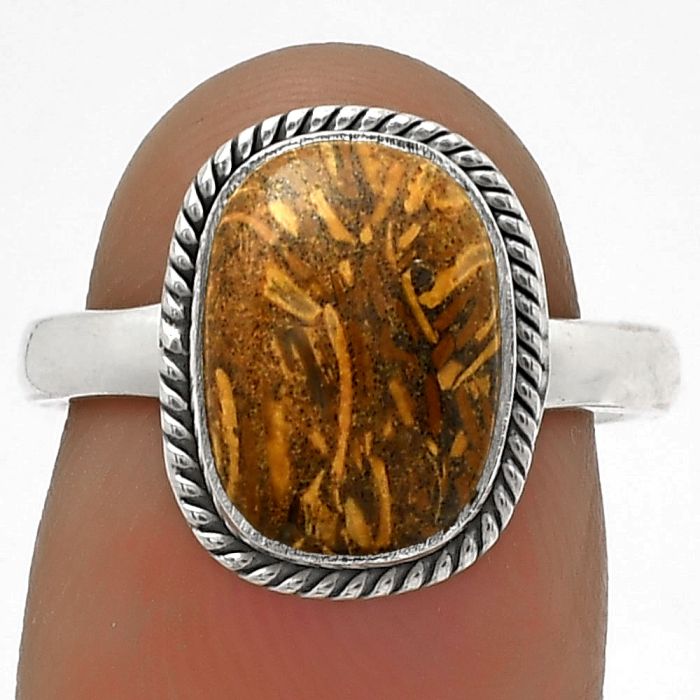 Natural Coquina Fossil Jasper - India Ring size-7 SDR177451 R-1009, 8x12 mm