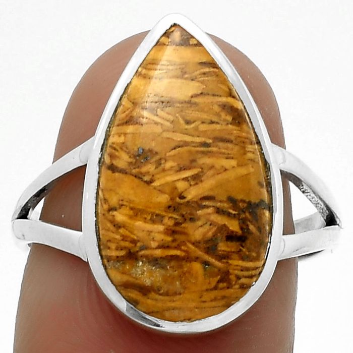 Coquina Fossil Jasper - India Ring size-8.5 SDR177617 R-1005, 10x18 mm