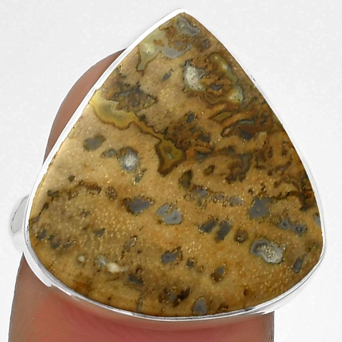 Natural Palm Root Fossil Agate Ring size-7 SDR177963 R-1001, 19x20 mm