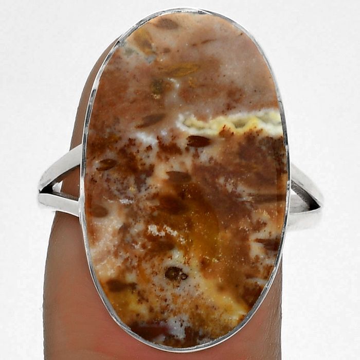 Natural Palm Root Fossil Agate Ring size-8.5 SDR178004 R-1002, 14x24 mm