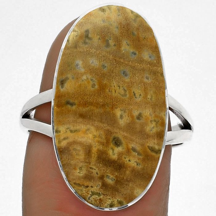 Natural Palm Root Fossil Agate Ring size-8.5 SDR178005 R-1002, 13x23 mm