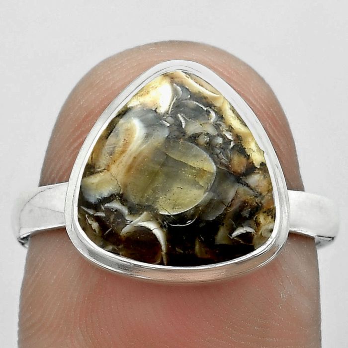 Natural Turtella Jasper - USA Ring size-8 SDR179968 R-1007, 12x12 mm