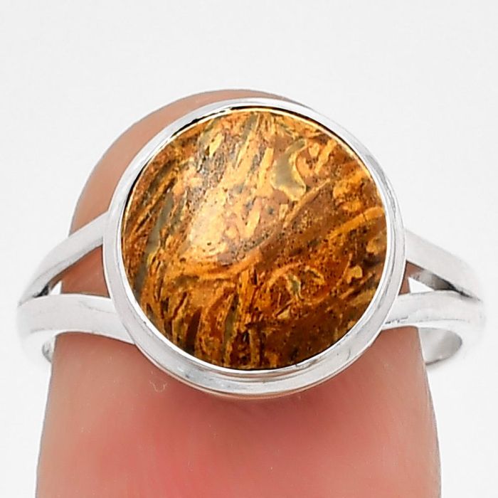 Natural Coquina Fossil Jasper - India Ring size-7 SDR181196 R-1008, 10x10 mm