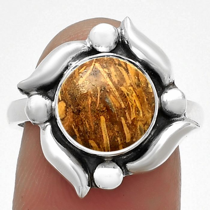 Natural Coquina Fossil Jasper - India Ring size-8 SDR183243 R-1125, 9x9 mm