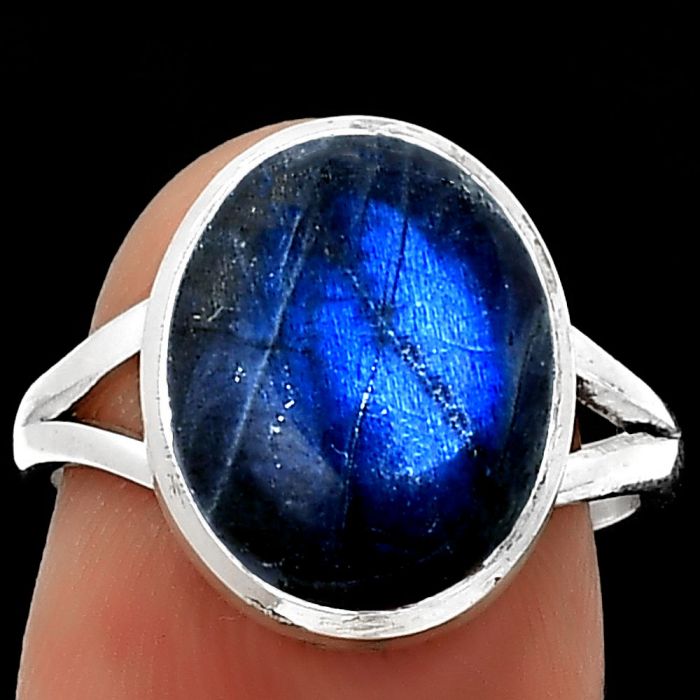 Blue Fire Labradorite - Madagascar Ring size-7 SDR184987 R-1005, 11x13 mm