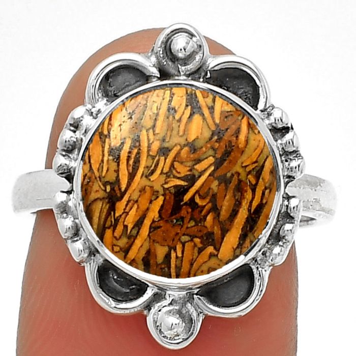 Coquina Fossil Jasper - India Ring size-7.5 SDR185312 R-1103, 12x12 mm