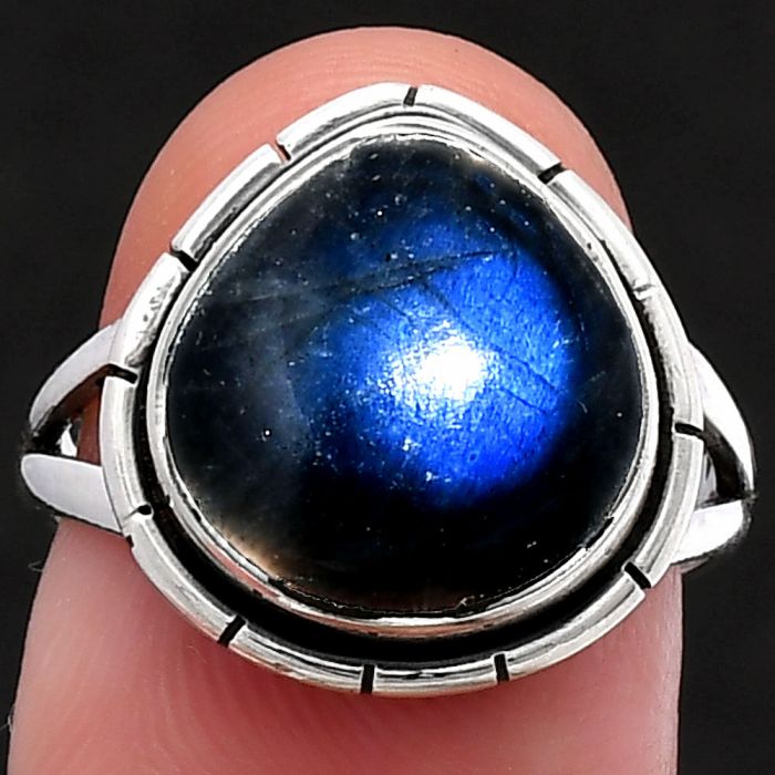 Blue Fire Labradorite Ring size-7 SDR218901 R-1012, 12x13 mm