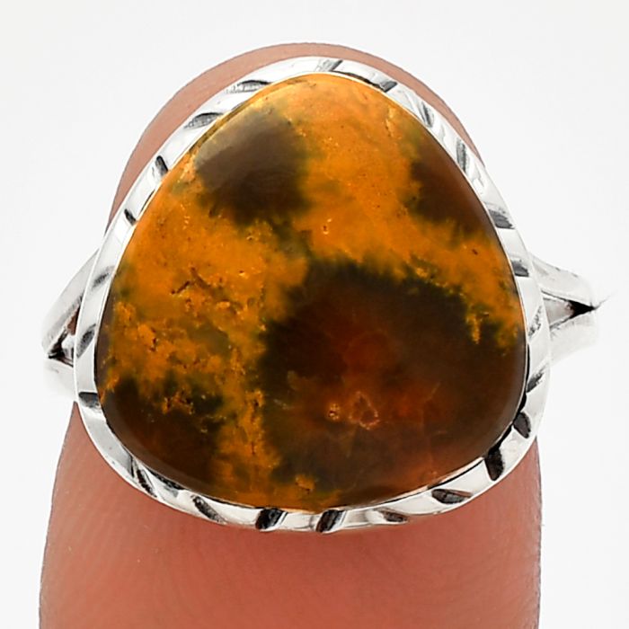 Ocean Jasper Ring size-8 SDR227969 R-1074, 14x14 mm