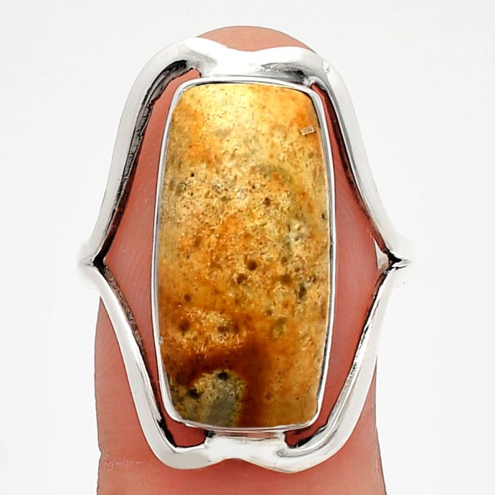 Palm Root Fossil Agate Ring size-9 SDR228398 R-1246, 10x20 mm