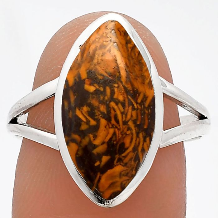 Coquina Fossil Jasper Ring size-9 SDR230675 R-1005, 9x18 mm