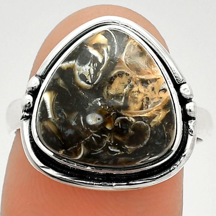 Turtella Jasper Ring size-8 SDR236079 R-1175, 13x13 mm