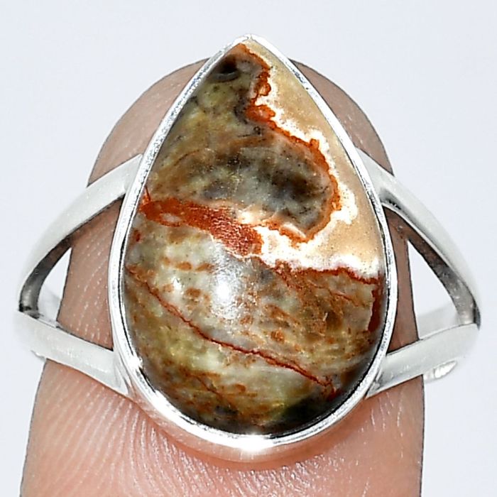 Rosetta Picture Jasper Ring size-8.5 SDR240038 R-1002, 11x17 mm